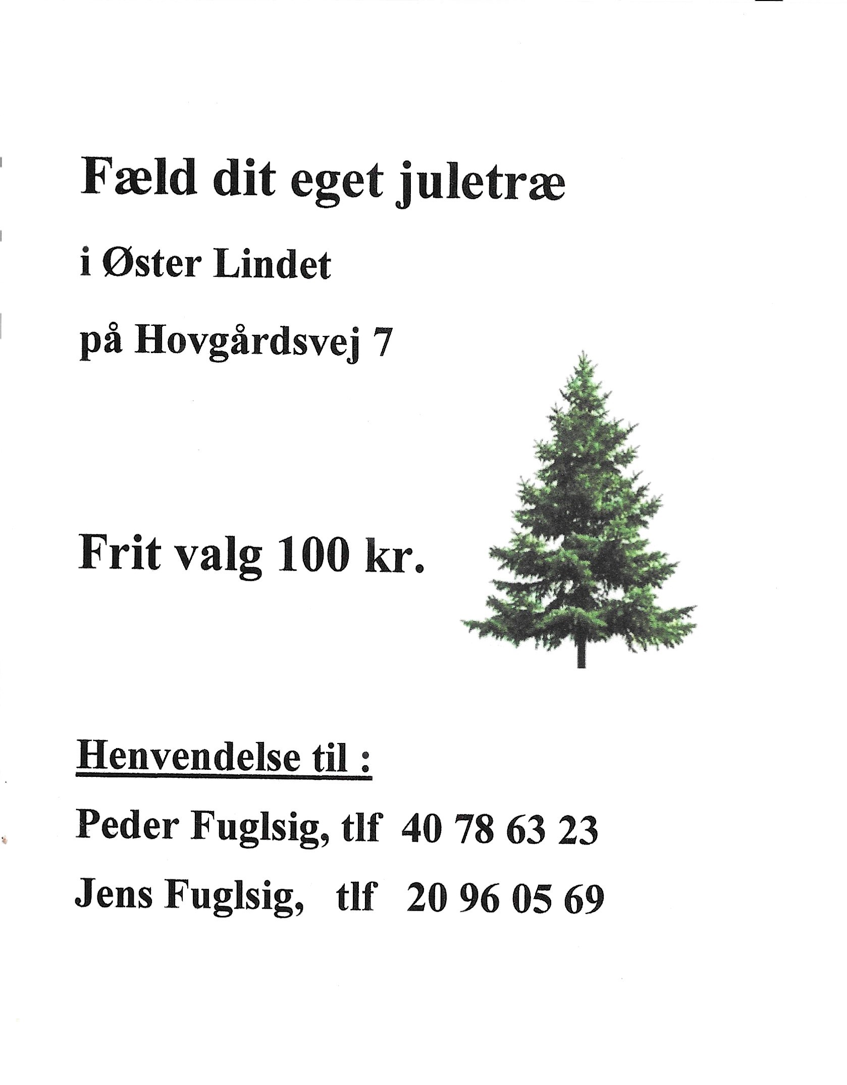 Fæld juletræ 2021