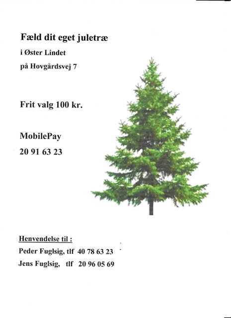 Fæld juletræ 2023x